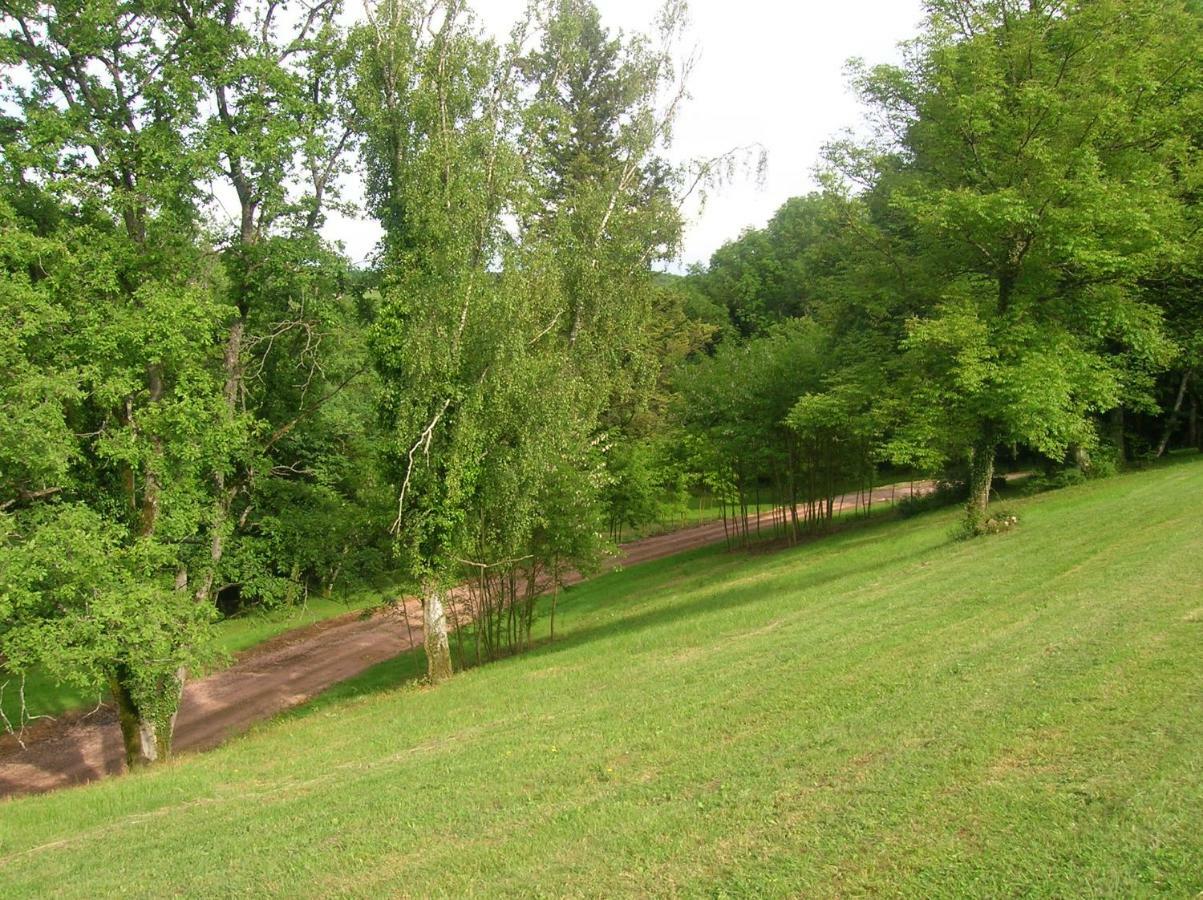 Le Domaine De Rochefort Dissangis Bagian luar foto